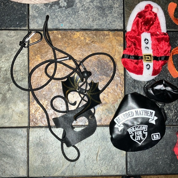 🧡Bearded Dragon Outfits🧡 - Picture 2 of 2